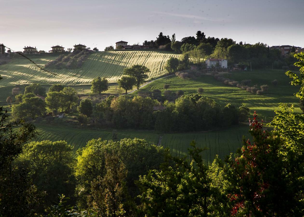 Grande Villa Storica Per Vacanze Con Giardino Privato E Piscina Ostra 外观 照片