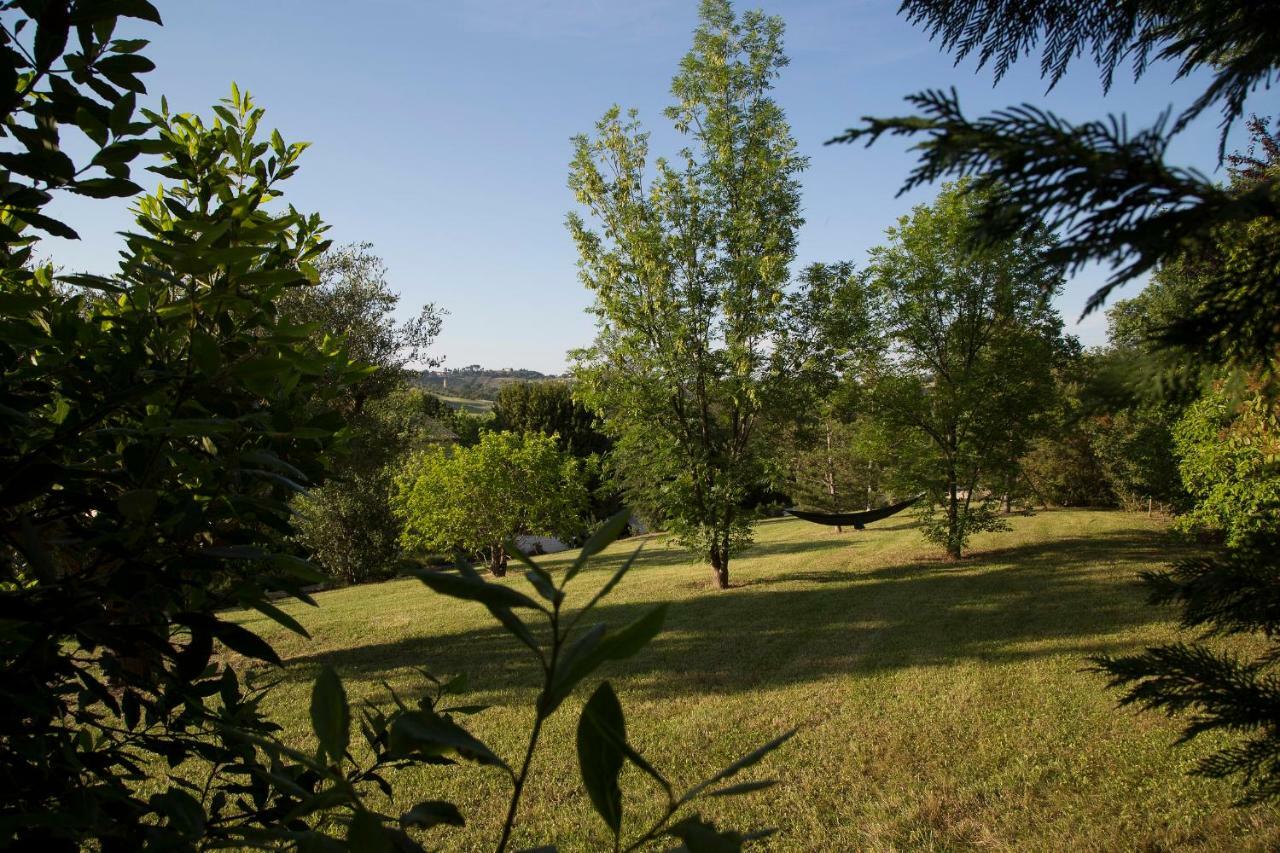 Grande Villa Storica Per Vacanze Con Giardino Privato E Piscina Ostra 外观 照片
