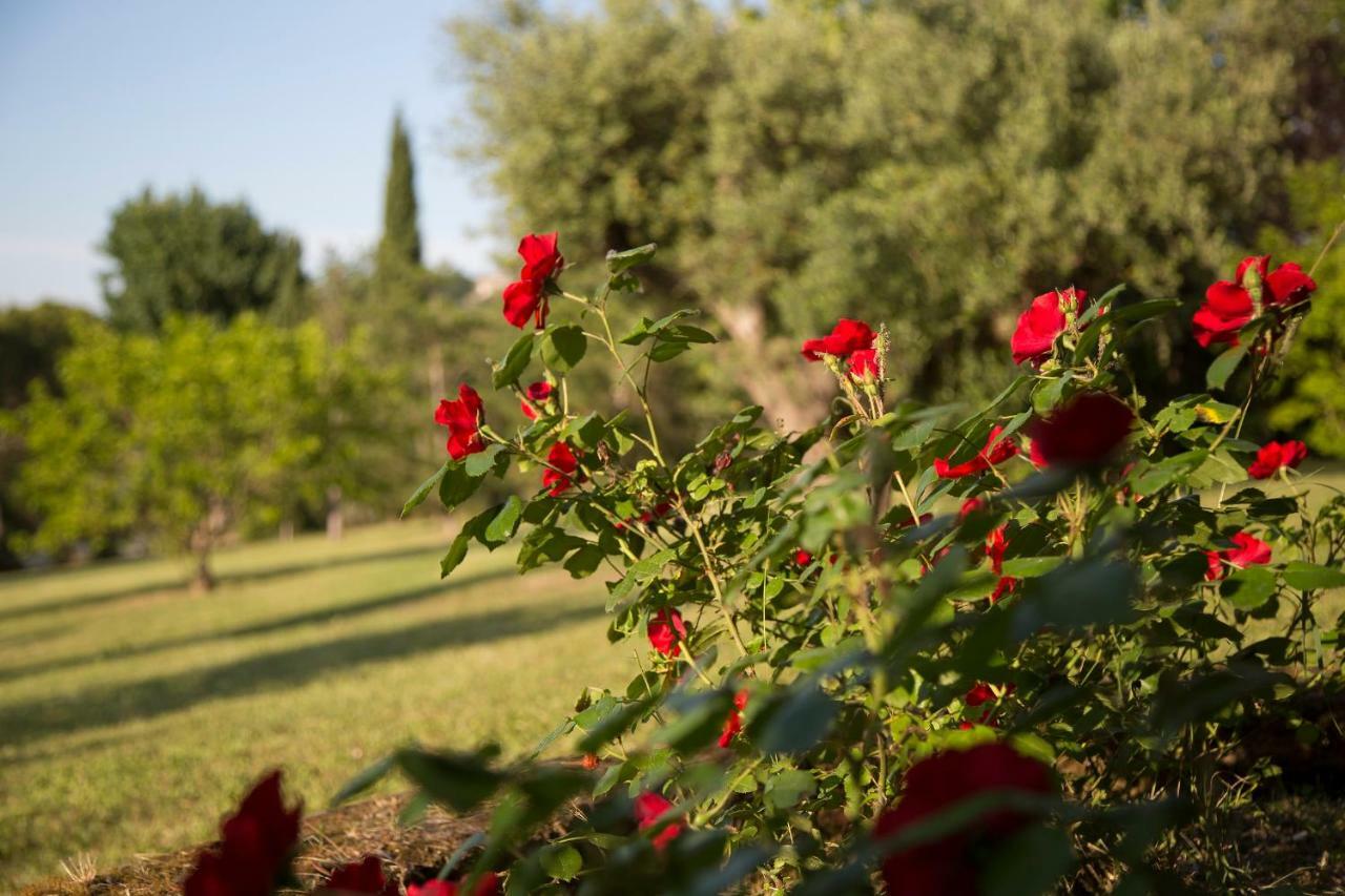 Grande Villa Storica Per Vacanze Con Giardino Privato E Piscina Ostra 外观 照片